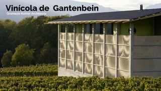 Vinícola de Gantenbein
Gramazio Kohler Architects
 