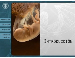 VIII Máster Universitario de Bioética - UCV