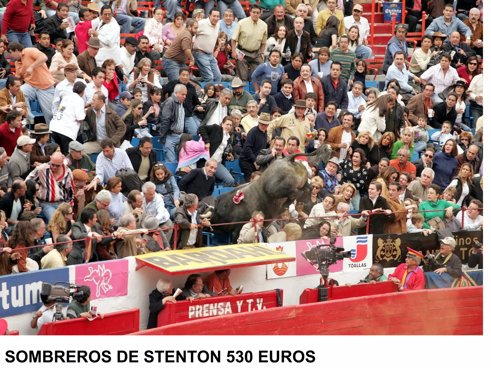 SOMBREROS DE STENTON 530 EUROS
 