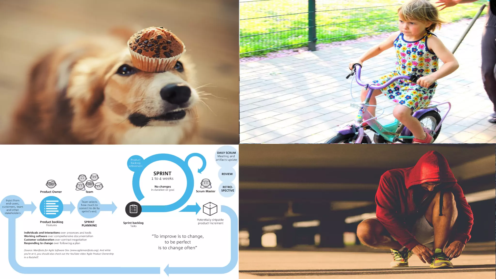 14
Agile organization
- Relevant
- Small steps
- Feedback loop
- Flexibility
 