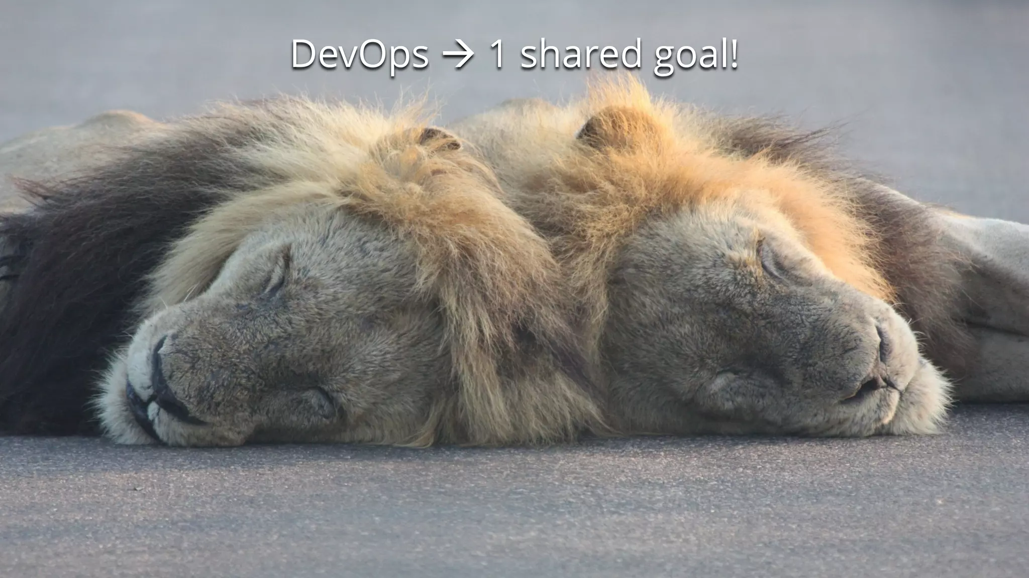 DevOps à 1 shared goal!
 