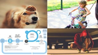 14
Agile organization
- Relevant
- Small steps
- Feedback loop
- Flexibility
 