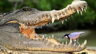 • Be adaptive
• Be relevant
• Be responsive
• Be effective
 