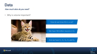 Data
How much data do you need?
How do we know this is a cat?
We have 140 million neurons in V1
And we have V2, V3, V4, V5 and V6
 