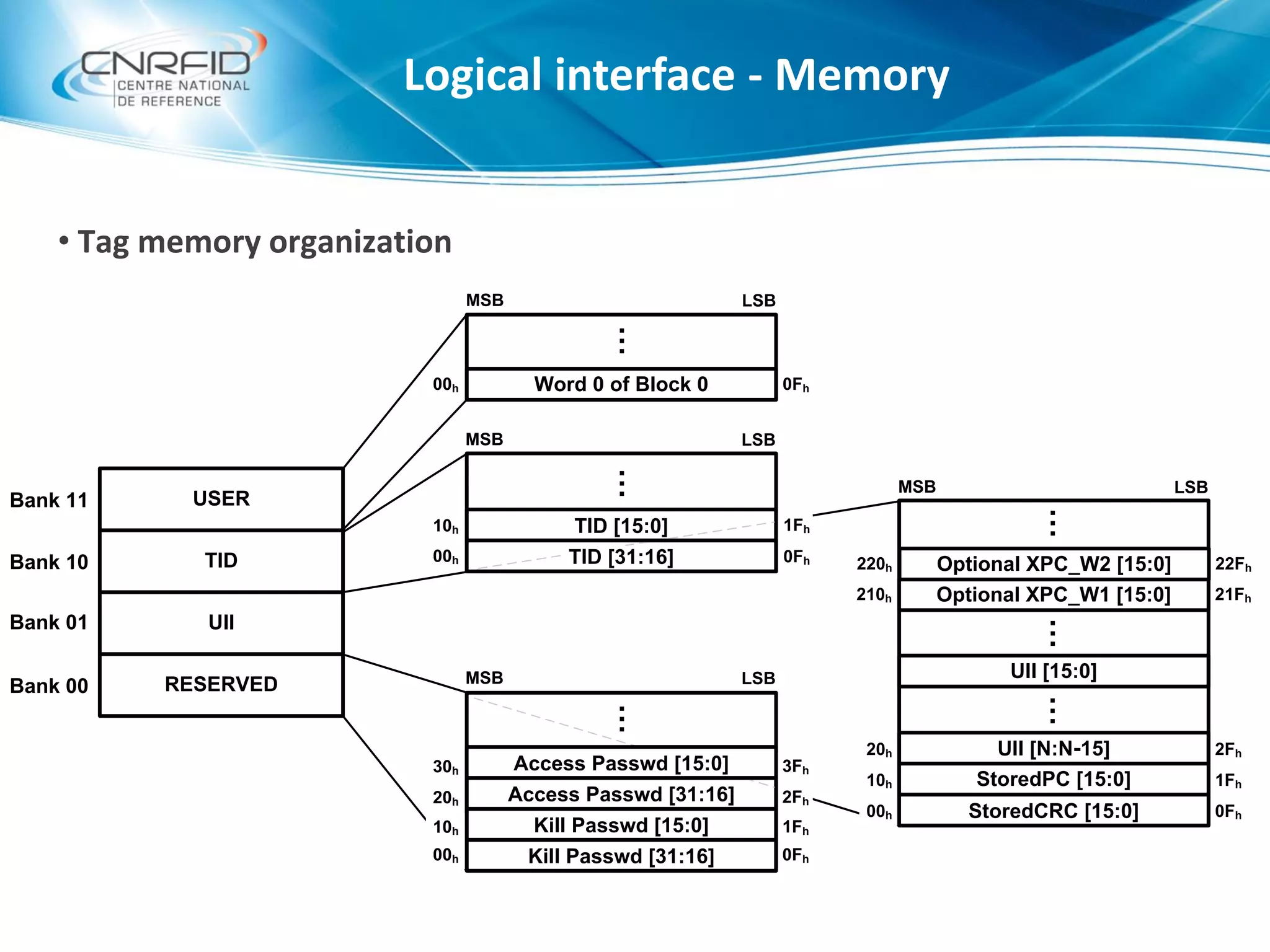 • Tag memory organization
2Fh
00h
10h
20h
0Fh
1Fh
2Fh
MSB LSB
Bank 11
Bank 10
Bank 01
Bank 00 RESERVED
UII
TID
USER
StoredCRC [15:0]
UII [15:0]
UII [N:N-15]
…
20h
0Fh
1Fh
MSB LSB
30h 3Fh
Access Passwd [31:16]
…
00h
10h
0Fh
1Fh
MSB LSB
TID [15:0]
…
StoredPC [15:0]
210h 21Fh
…
Optional XPC_W1 [15:0]
…
00h 0Fh
MSB LSB
…
Word 0 of Block 0
00h
10h Kill Passwd [15:0]
Kill Passwd [31:16]
220h 22FhOptional XPC_W2 [15:0]
Access Passwd [15:0]
TID [31:16]
Logical interface - Memory
 