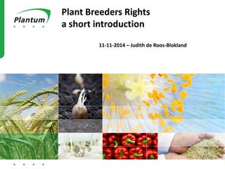 Plant Breeders Rights
a short introduction
11-11-2014 – Judith de Roos-Blokland
 