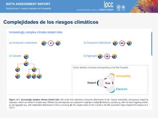 SIXTH ASSESSMENT REPORT
Working Group II – Impacts, Adaptation and Vulnerability
Complejidades de los riesgos climáticos
 