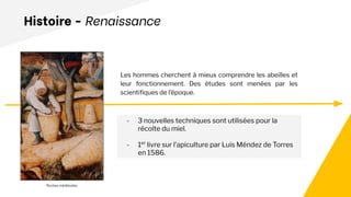 Histoire - Renaissance
- 3 nouvelles techniques sont utilisées pour la
récolte du miel.
- 1er
livre sur l’apiculture par Luis Méndez de Torres
en 1586.
Les hommes cherchent à mieux comprendre les abeilles et
leur fonctionnement. Des études sont menées par les
scientiﬁques de l’époque.
Ruches médiévales
 