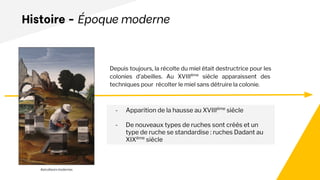 Histoire - Époque moderne
- Apparition de la hausse au XVIIIème
siècle
- De nouveaux types de ruches sont créés et un
type de ruche se standardise : ruches Dadant au
XIXème
siècle
Depuis toujours, la récolte du miel était destructrice pour les
colonies d’abeilles. Au XVIIIème
siècle apparaissent des
techniques pour récolter le miel sans détruire la colonie.
Apiculteurs modernes
 