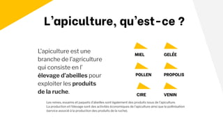 L’apiculture, qu’est-ce ?
L’apiculture est une
branche de l’agriculture
qui consiste en l’
élevage d’abeilles pour
exploiter les produits
de la ruche.
MIEL GELÉE
PROPOLIS
POLLEN
CIRE VENIN
Les reines, essaims et paquets d’abeilles sont également des produits issus de l’apiculture.
La production et l'élevage sont des activités économiques de l’apiculture ainsi que la pollinisation
(service associé à la production des produits de la ruche).
 