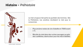 Histoire - Préhistoire
- Plus anciens restes de cire d’abeille en 7000 avant
J.-C.
- Récolte du miel dans des ruches sauvages au grès
des cueillettes, destructeur pour les nids d’abeilles
Le miel a toujours fait partie du quotidien des hommes. Dès
la Préhistoire, nos ancêtres récoltaient le miel pour le
consommer.
“chasse à l'abeille” préhistorique
 