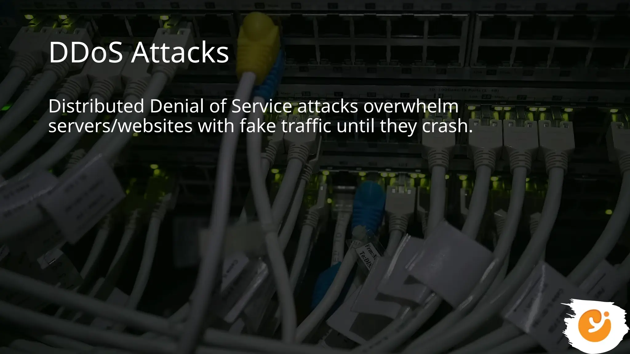 DDoS Attacks
Distributed Denial of Service attacks overwhelm
servers/websites with fake traffic until they crash.
 