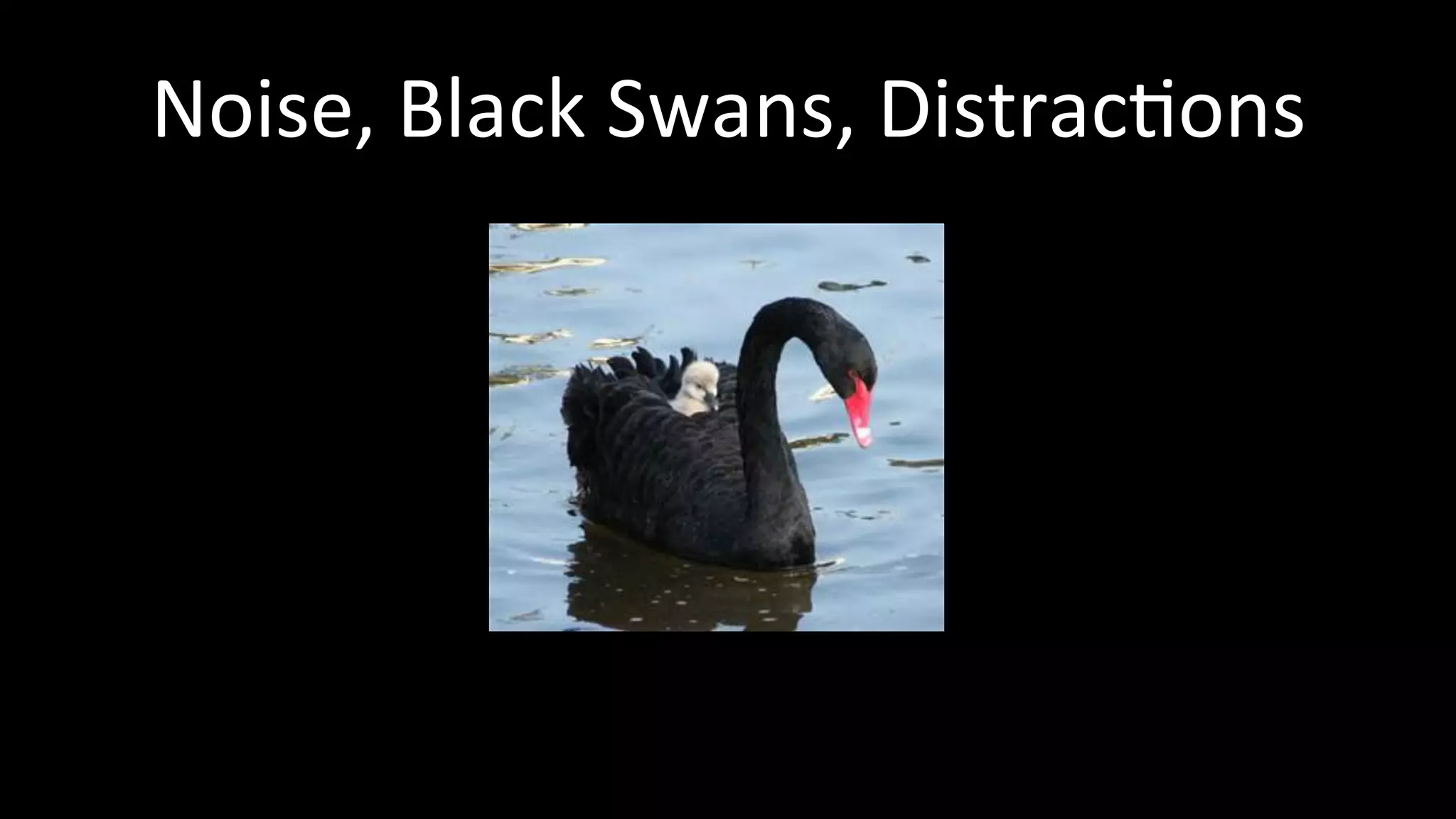 Noise,	
  Black	
  Swans,	
  Distrac<ons	
  
 