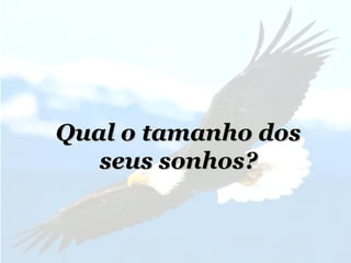 Qual o tamanho dosQual o tamanho dos
seus sonhos?seus sonhos?
 