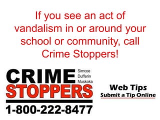 If you see an act of
vandalism in or around your
school or community, call
Crime Stoppers!
 