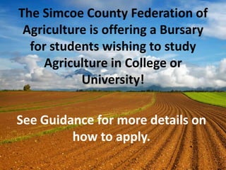 The Simcoe County Federation of
Agriculture is offering a Bursary
for students wishing to study
Agriculture in College or
University!
See Guidance for more details on
how to apply.
 