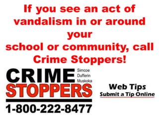 If you see an act of
vandalism in or around
your
school or community, call
Crime Stoppers!