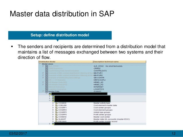 Master data distribution in SAP: implementation guide