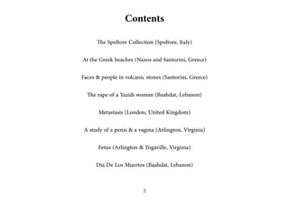 Contents
The Spoltore Collection (Spoltore, Italy)
At the Greek beaches (Naxos and Santorini, Greece)
Faces & people in volcanic stones (Santorini, Greece)
The rape of a Yazidi woman (Baabdat, Lebanon)
Metastasis (London, United Kingdom)
A study of a penis & a vagina (Arlington, Virginia)
Fetus (Arlington & Yogaville, Virginia)
Dia De Los Muertos (Baabdat, Lebanon)
3
 