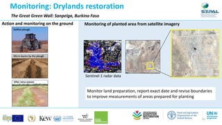Monitoring: Peatland restoration
Indonesia
36
Canal dam for peatland restoration.
Source: Marcel Silvius, Wetlands Interna...