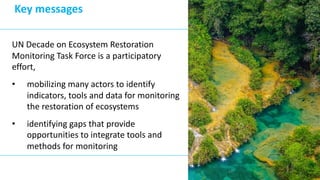 se.plan
• Spatially explicit forest restoration planning tool
– FAO Open Foris SEPAL (se)
– Google Earth Engine-based
• Em...