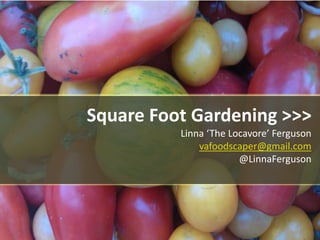 Square Foot Gardening >>>
Linna ‘The Locavore’ Ferguson
vafoodscaper@gmail.com
@LinnaFerguson
 