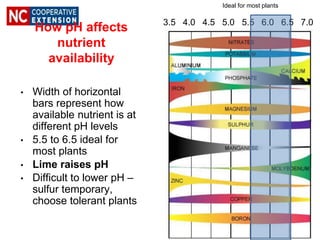 How pH affects
nutrient
availability
• Width of horizontal
bars represent how
available nutrient is at
different pH levels
• 5.5 to 6.5 ideal for
most plants
• Lime raises pH
• Difficult to lower pH –
sulfur temporary,
choose tolerant plants
3.5 4.0 4.5 5.0 5.5 6.0 6.5 7.0
Ideal for most plants
 