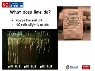 What does lime do?
• Raises the soil pH
• NC soils slightly acidic
 