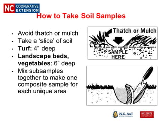 How to Take Soil Samples
• Avoid thatch or mulch
• Take a ‘slice’ of soil
• Turf: 4” deep
• Landscape beds,
vegetables: 6” deep
• Mix subsamples
together to make one
composite sample for
each unique area
 