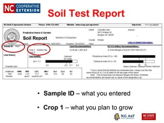 Soil Test Report
• Sample ID – what you entered
• Crop 1 – what you plan to grow
 