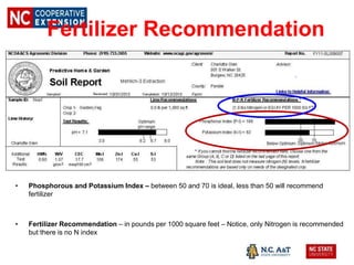 Fertilizer Recommendation
• Phosphorous and Potassium Index – between 50 and 70 is ideal, less than 50 will recommend
fertilizer
• Fertilizer Recommendation – in pounds per 1000 square feet – Notice, only Nitrogen is recommended
but there is no N index
 