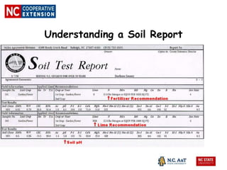 Understanding a Soil Report
 