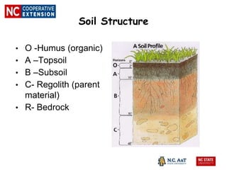 Soil Structure
• O -Humus (organic)
• A –Topsoil
• B –Subsoil
• C- Regolith (parent
material)
• R- Bedrock
 