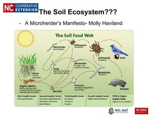 The Soil Ecosystem???
• A Microherder’s Manifesto- Molly Haviland
 