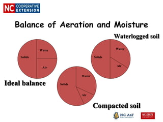 Balance of Aeration and Moisture
Solids
Water
Air
Solids
Water
Air
Solids
Water
Air
Ideal balance
Waterlogged soil
Compacted soil
 
