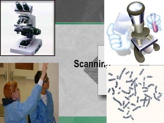 Scanning 