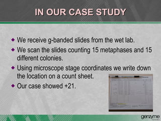 IN OUR CASE STUDY We receive g-banded slides from the wet lab. We scan the slides counting 15 metaphases and 15 different colonies. Using microscope stage coordinates we write down the location on a count sheet. Our case showed +21. 