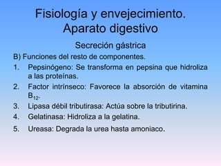 Fisiología y envejecimiento.
             Aparato digestivo
                  Secreción gástrica
B) Funciones del resto de componentes.
1. Pepsinógeno: Se transforma en pepsina que hidroliza
    a las proteínas.
2. Factor intrínseco: Favorece la absorción de vitamina
    B12.
3. Lipasa débil tributirasa: Actúa sobre la tributirina.
4. Gelatinasa: Hidroliza a la gelatina.
5.   Ureasa: Degrada la urea hasta amoniaco.
 