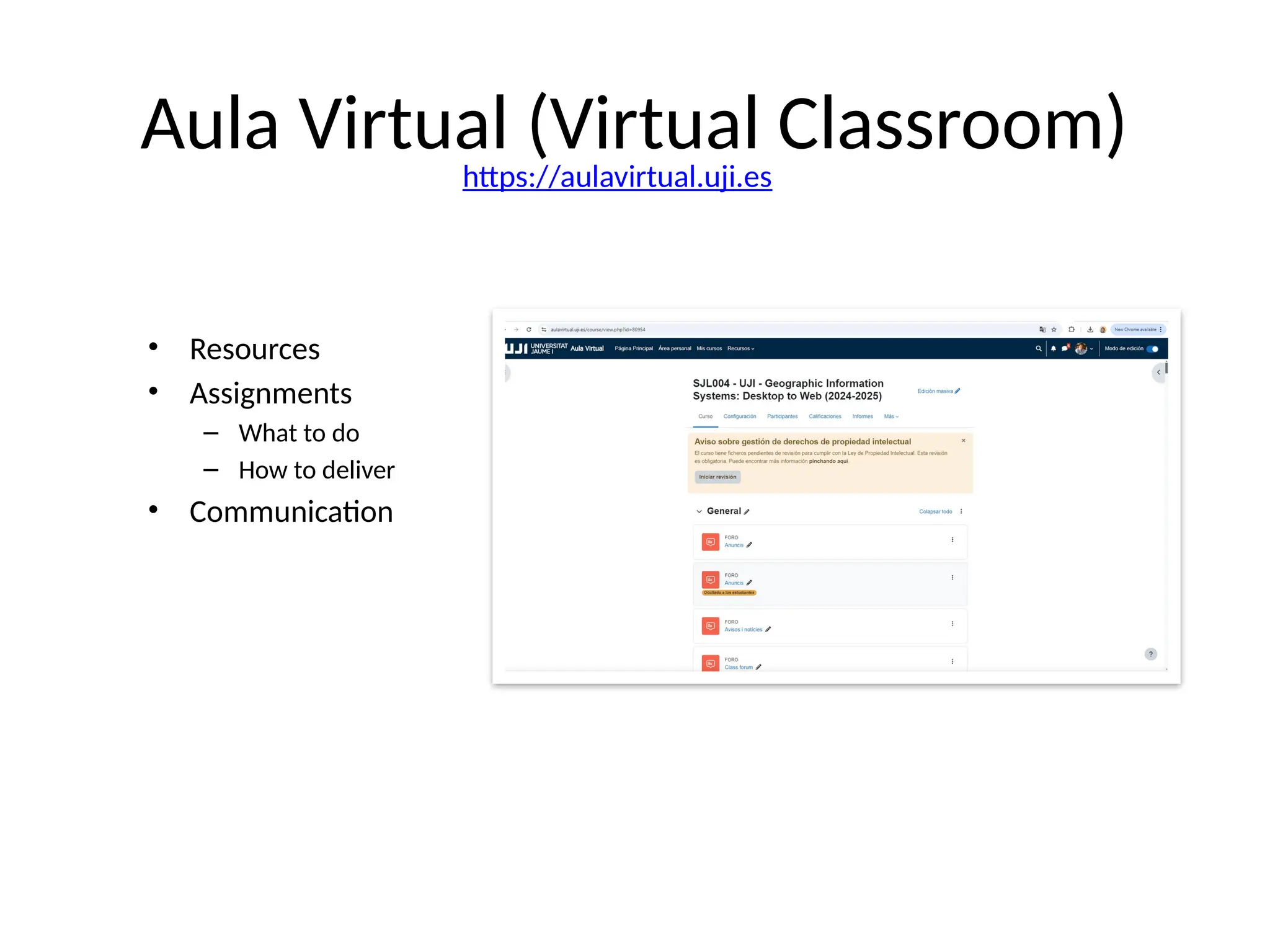 Aula Virtual (Virtual Classroom)
• Resources
• Assignments
– What to do
– How to deliver
• Communication
https://aulavirtual.uji.es
 