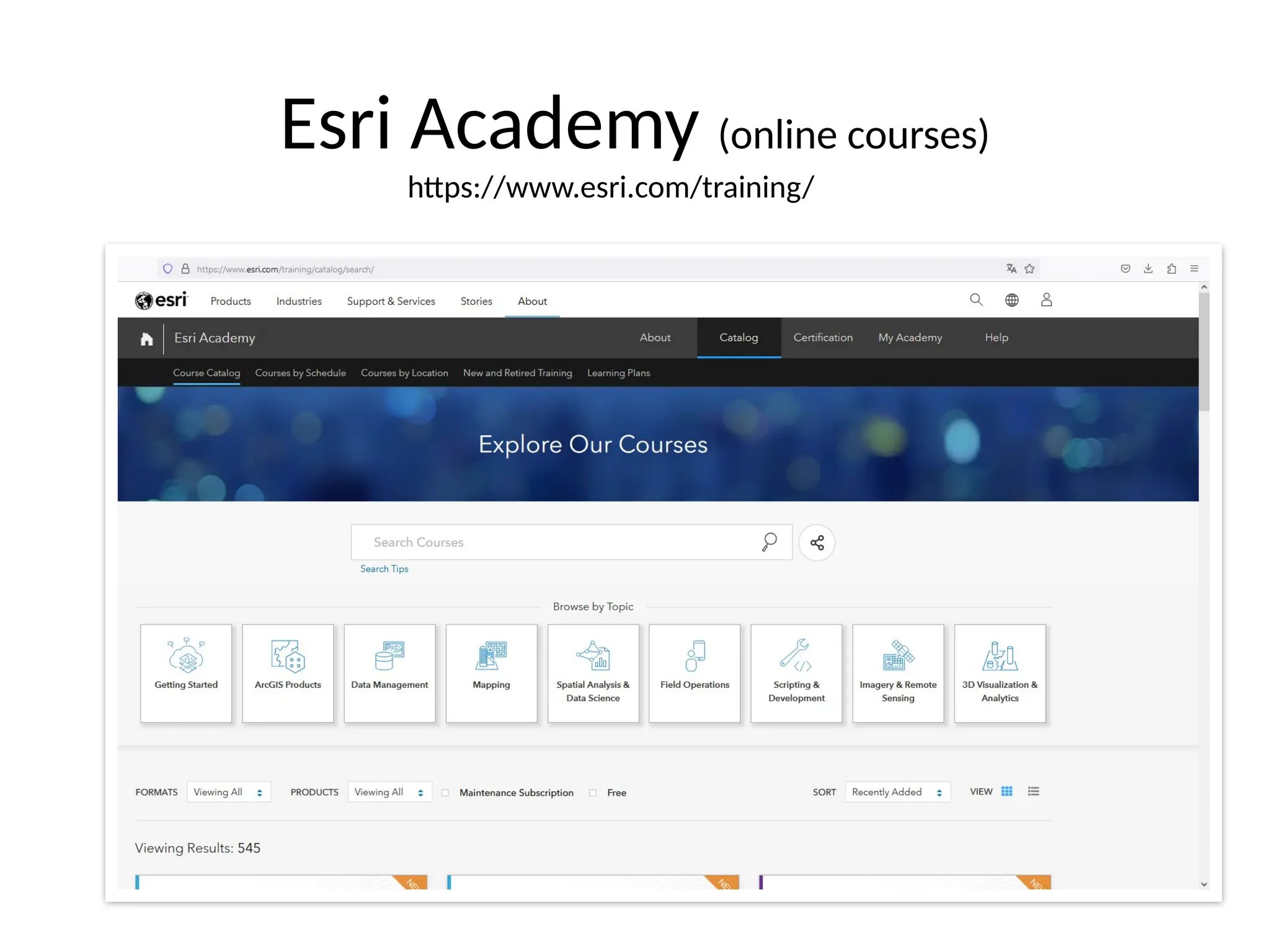 Esri Academy (online courses)
https://www.esri.com/training/
 