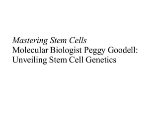 Mastering Stem Cells Molecular Biologist Peggy Goodell: Unveiling Stem Cell Genetics 