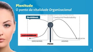 33
flexibilidade
controlabilidade
PRIME
Plenitude
O ponto da vitalidade Organizacional
 