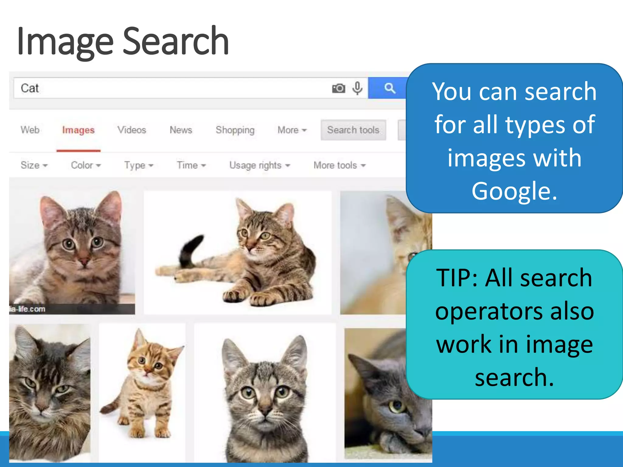 Image Search
You can search
for all types of
images with
Google.
TIP: All search
operators also
work in image
search.
 