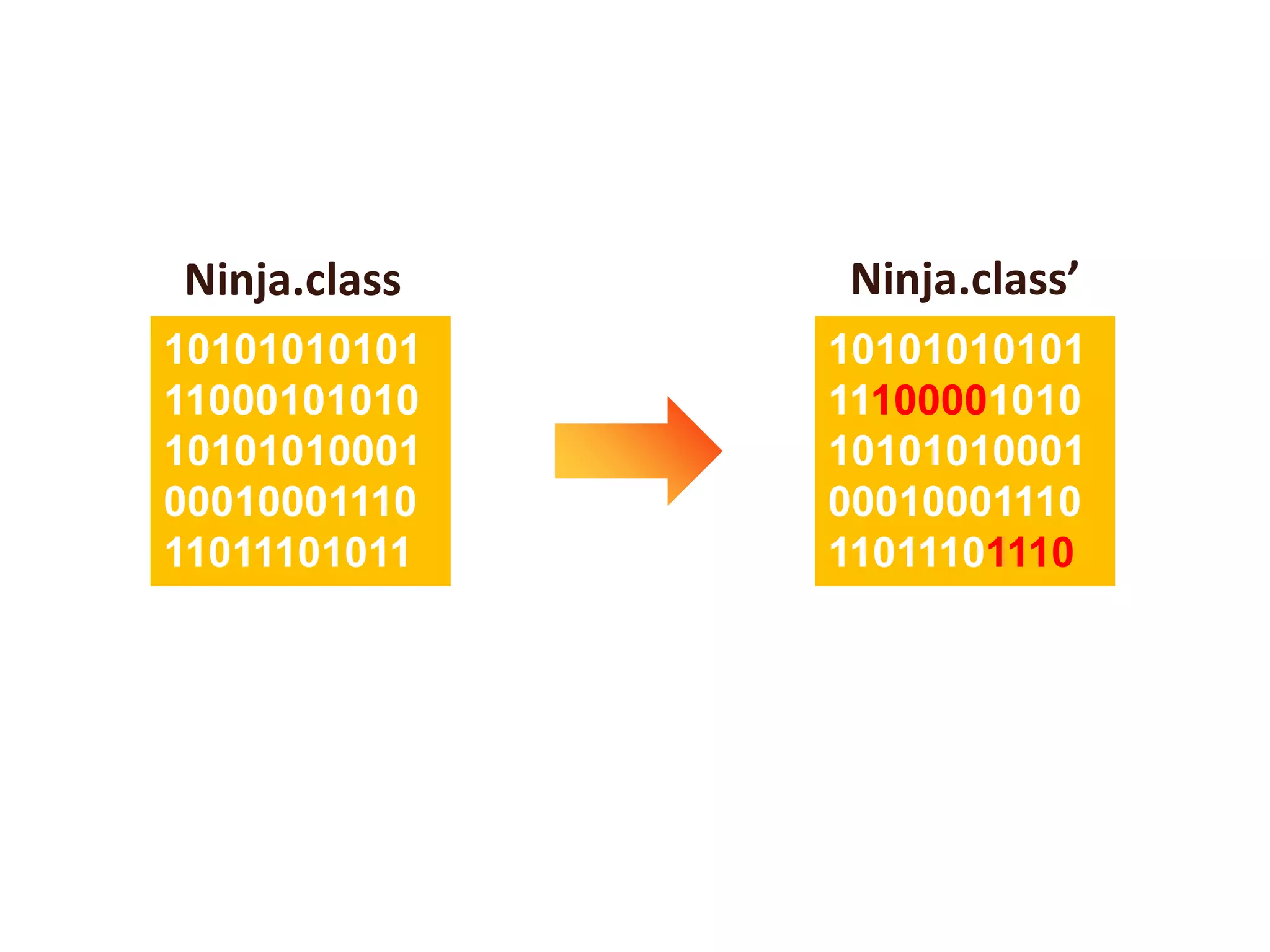 Ninja.class   Ninja.class’
10101010101   10101010101
11000101010   11100001010
10101010001   10101010001
00010001110   00010001110
11011101011   11011101110
 