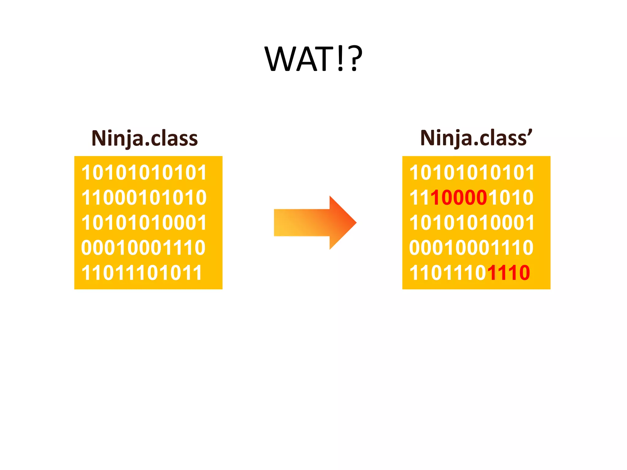WAT!?
Ninja.class           Ninja.class’
10101010101           10101010101
11000101010           11100001010
10101010001           10101010001
00010001110           00010001110
11011101011           11011101110
 