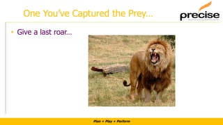 Plan + Play + Perform
One You’ve Captured the Prey…
• Give a last roar…
 