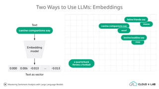 Mastering Sentiment Analysis with Large Language Models.pptx
