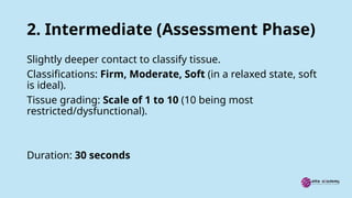 2. Intermediate (Assessment Phase)
Slightly deeper contact to classify tissue.
Classifications: Firm, Moderate, Soft (in a relaxed state, soft
is ideal).
Tissue grading: Scale of 1 to 10 (10 being most
restricted/dysfunctional).
Duration: 30 seconds
 