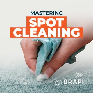 TECHNIQUES
SPOT
CLEANING
MASTERING
 