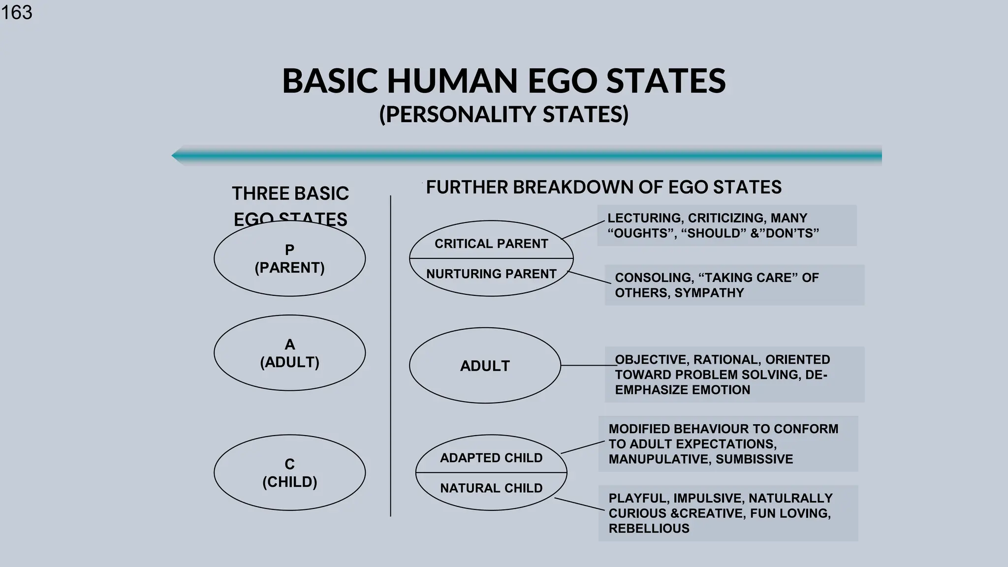 163
BASIC HUMAN EGO STATES
(PERSONALITY STATES)
THREE BASIC
EGO STATES
FURTHER BREAKDOWN OF EGO STATES
P
(PARENT)
A
(ADULT)
C
(CHILD)
CRITICAL PARENT
NURTURING PARENT
ADULT
ADAPTED CHILD
NATURAL CHILD
LECTURING, CRITICIZING, MANY
“OUGHTS”, “SHOULD” &”DON’TS”
CONSOLING, “TAKING CARE” OF
OTHERS, SYMPATHY
OBJECTIVE, RATIONAL, ORIENTED
TOWARD PROBLEM SOLVING, DE-
EMPHASIZE EMOTION
MODIFIED BEHAVIOUR TO CONFORM
TO ADULT EXPECTATIONS,
MANUPULATIVE, SUMBISSIVE
PLAYFUL, IMPULSIVE, NATULRALLY
CURIOUS &CREATIVE, FUN LOVING,
REBELLIOUS
 